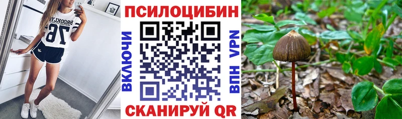 kraken зеркало  купить закладку  Медвежьегорск  Галлюциногенные грибы Cubensis 
