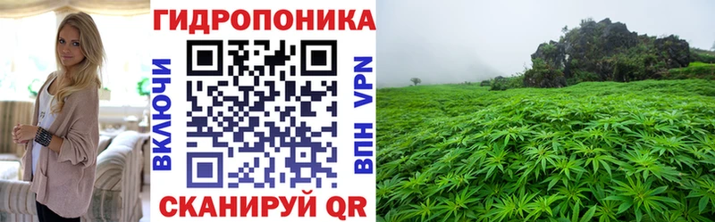 Конопля индика Медвежьегорск
